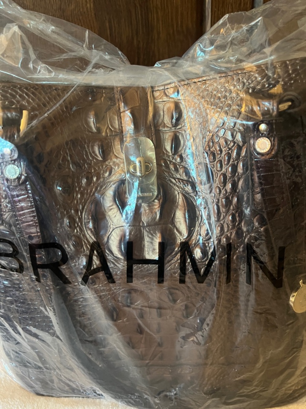 BRAHMIN FIORA Ganache Ombré Melbourne Bucket Bag NWT - Picture 6 of 17